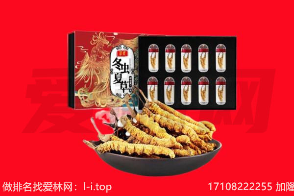 凉山回收虫草.jpg